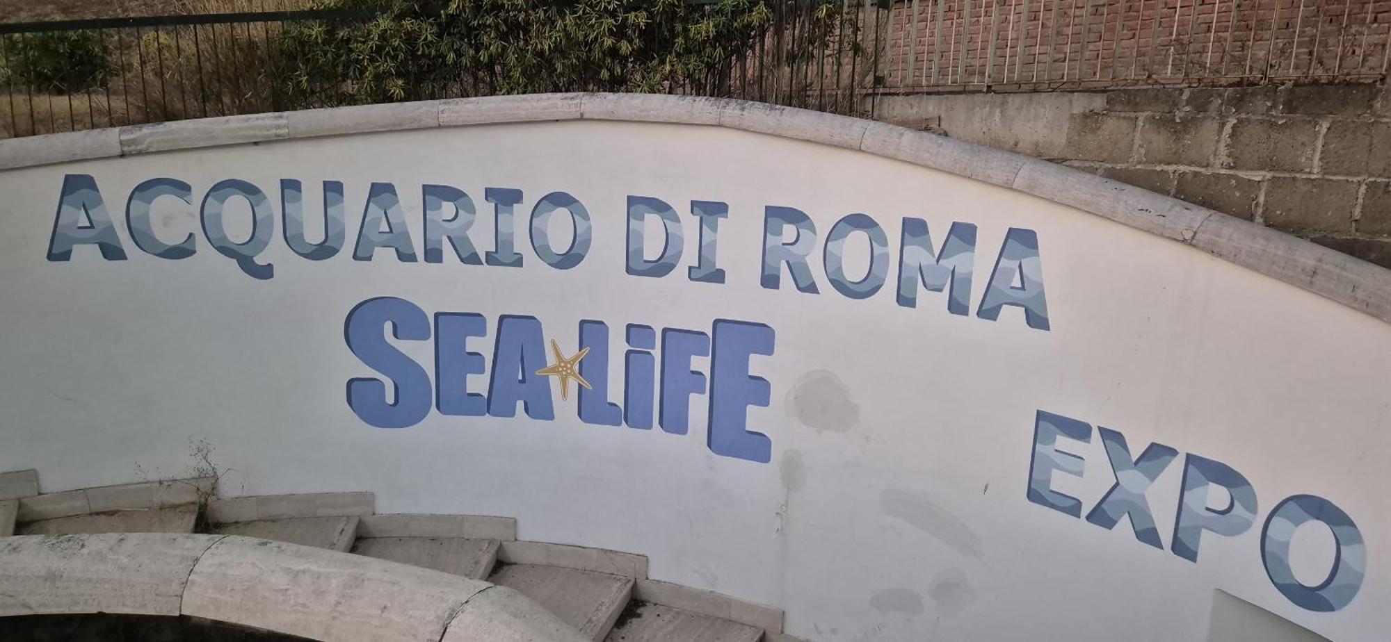 Eur Fenix Apartment Free Parking Family Apartment Rome
